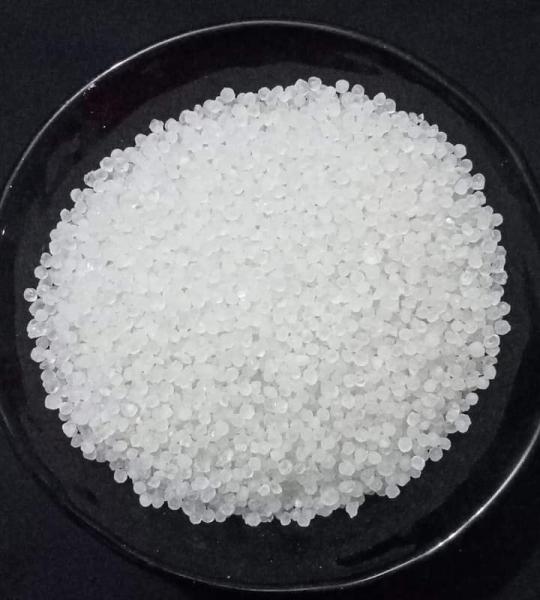 ট্রান্সপারেন্ট অরজিনাল স্বচ্ছ সাবু